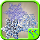 Snow Lock Puzzle icon