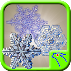 Snow Lock Puzzle icône