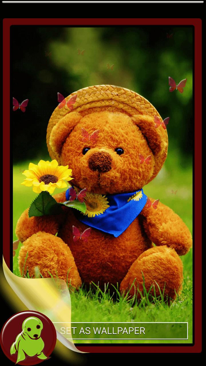 Beruang Teddy Wallpaper For Android APK Download