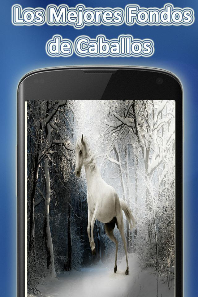 Fondos de Pantalla de Caballos Gratis APK für Android herunterladen Fondos de Pantalla de Caballos Gratis APK für Android herunterladen