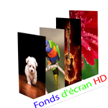 Fonds d'écran HD (Wallpapers)