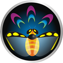 Adventures of Beetles APK