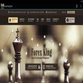 ForexKing.biz Recovery