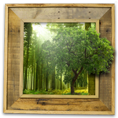 Forest Frames for Photos icon
