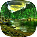 Forest Live Wallpaper APK