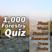 Forestry Quiz