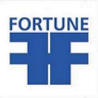 Fortune Ford โปสเตอร์