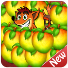 Fox Crazy Adventure icono