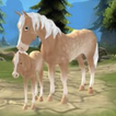 Horse Paradise Meine Traumfarm