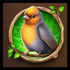 Save The Birds : The Quest APK