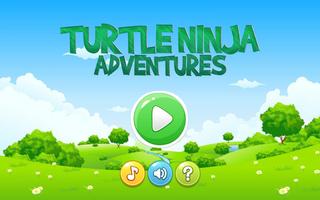 Turtle Boy Pizza Adventures poster