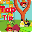 Ultimate Angry Birds TopTip