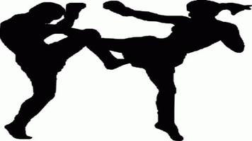 Muay Thai Training ảnh chụp màn hình 1