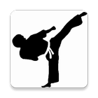 Taekwondo Training-icoon