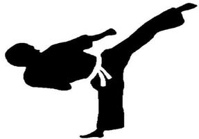 Treinamento de Taekwondo Cartaz