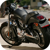 ikon Moto Top Walls