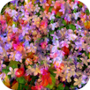 Hot Art Wallpapers APK