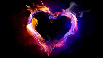 Love in Wallpapers 海报