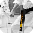 Karate. Sport Wallpapers APK