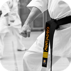 Karate. Sport Wallpapers-icoon