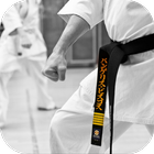 Karate. Sport Wallpapers biểu tượng