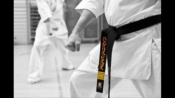 Poster Karate. Sport Wallpapers