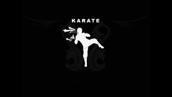 Karate. Sport Wallpapers تصوير الشاشة 1