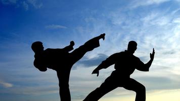 Karate. Sport Wallpapers ảnh chụp màn hình 2