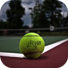Tennis. Sport Wallpapers icon