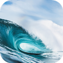 Surfing. Sport Wallpapers APK