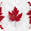 Canada. Top Wallpapers