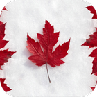 Canada. Top Wallpapers 图标