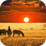 AFRICA. WORLD WALLPAPER ícone