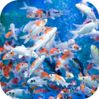 Cute Fish. Animals Wallpapers ikona