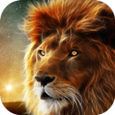 Lion. Top Rated Wallpapers aplikacja