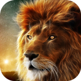 Lion. Top Rated Wallpapers icône