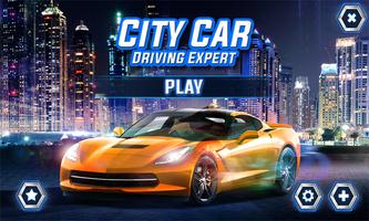 City Car Driving Expert 포스터
