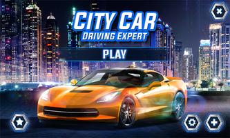 پوستر City Car Driving Expert