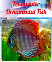 Freshwater Ornamental Fish تصوير الشاشة 1