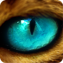 From Cats Eyes APK