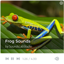 Frog Sounds APK