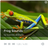 Frog Sounds APK