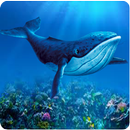 الأزرق الحوت مطلق النار التحدي 🐋 APK