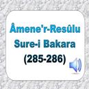 Amenerresulu Dinle APK