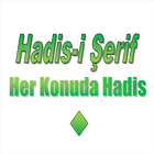 Her Konuda Hadis icône