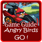 Guide Angry Birds Go icône