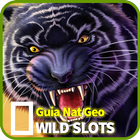 Guia Nat Geo WILD Slots 2018 ícone