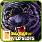 Guia Nat Geo WILD Slots 2018 icono