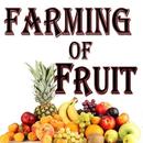 APK Guide to Farming Fruits in English