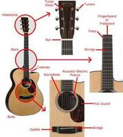 برنامه‌نما Guitar Key For Beginners عکس از صفحه